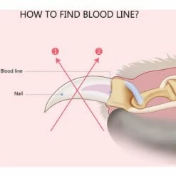 ASUPERMALL Coupe-Ongles Pour Chien Avec Verrou Ciseaux De Toilettage Lime A Ongles 3Pcs -Toilletage et hygiène du chien Soldes 14223485 4