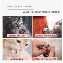 ASUPERMALL Coupe-Ongles Pour Chien Avec Serrure, Ciseaux De Toilettage Taille S 8 ASUPERMALL Coupe-Ongles Pour Chien Avec Serrure, Ciseaux De Toilettage Taille S -Toilletage et hygiène du chien Soldes 14223486 4