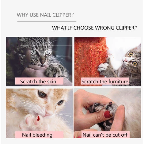 ASUPERMALL Coupe-Ongles Pour Chien Avec Serrure, Ciseaux De Toilettage Taille S 4 ASUPERMALL Coupe-Ongles Pour Chien Avec Serrure, Ciseaux De Toilettage Taille S – Image 4