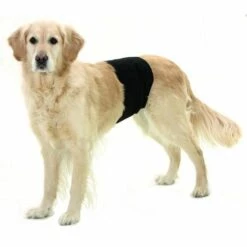 Slip D’incontinence Pour Mâles Désignation : Slip | Taille : 10 X 40 Cm MORIN IMPORT 49012