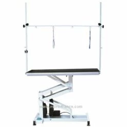 Table De Toilettage électrique Désignation : Table électrique MORIN 2107