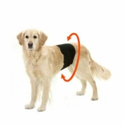 FLAMINGO Culotte D'incontinence Et Fuite Urinaire Pour Chien Mâle - Taille S
