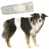 TRIXIE Couche Incontinence Jetable Pour Fuite Urinaire Du Chien Mâle S-M (paquet De 12 Couches)