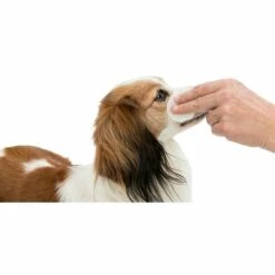 TRIXIE Compresses De Soin Pour La Région Des Yeux, 100 Pcs -Toilletage et hygiène du chien Soldes 17164294 4