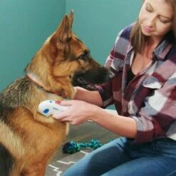 SHOPSTORY Peigne Electrique Anti-Puces Pour Animaux -Toilletage et hygiène du chien Soldes 17598681 3