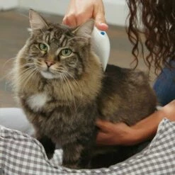 SHOPSTORY Peigne Electrique Anti-Puces Pour Animaux -Toilletage et hygiène du chien Soldes 17598681 4