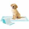 IDMARKET Lot De 100 Tapis éducateurs Pour Chiens