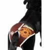 GLOBAL NETWORK Slip Dog PANTALON DOG | Slip Chien Brun | Braguita Chiens Pour La Taille M