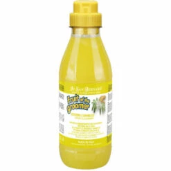 GLOBAL NETWORK Shampooing Gingembre Et Sureau Pour Les Chiens | Fruit Du Shampooing Toiletteur | Gingembre Shampooing Et 500 Ml De Sureau