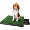 BETTER MAISON Tapis Pour Animaux Avec Plateau Et Gazon Artificiel Vert En ABS 63 X 50 X 7cm - Vert