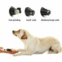 DEVENIRRICHE PTy068 Polissoir électrique Pour Animaux De Compagnie - Blanc -Toilletage et hygiène du chien Soldes 20276657 4