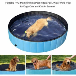 ASUPERMALL Pliable Pvc Chien Chat Piscine De Chien Piscine Bain A Remous Piscine Pour Enfants, Piscine Bassin D'Eau Pour Les Chats Et Les Chiens Enfants En Ete, 80 * 20Cm -Toilletage et hygiène du chien Soldes 20594227 4