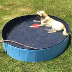 ASUPERMALL Pliable Pvc Chien Chat Piscine De Chien Piscine Bain A Remous Piscine Pour Enfants, Piscine Bassin D'Eau Pour Les Chats Et Les Chiens Enfants En Ete, 80 * 20Cm -Toilletage et hygiène du chien Soldes 20594227 5