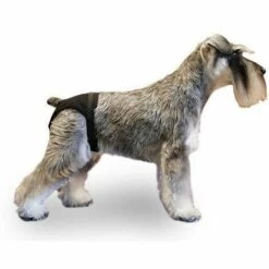 IBANEZ IBÁÑEZ Culotte Pour La Chaleur SIZE BRAQUITA 5 42-60 Cm.