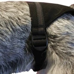 IBANEZ IBÁÑEZ Culotte Pour La Chaleur SIZE BRAQUITA 5 42-60 Cm. 6 IBANEZ IBÁÑEZ Culotte Pour La Chaleur SIZE BRAQUITA 5 42-60 Cm. -Toilletage et hygiène du chien Soldes 23092353 3
