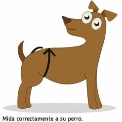 IBANEZ IBÁÑEZ Culotte Pour La Chaleur SIZE BRAQUITA 5 42-60 Cm. 7 IBANEZ IBÁÑEZ Culotte Pour La Chaleur SIZE BRAQUITA 5 42-60 Cm. -Toilletage et hygiène du chien Soldes 23092353 4