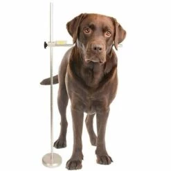 IBANEZ Compteur Professionnel Pour Chien Et Chat