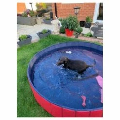 Piscine Grand Pour Chien Pliable Piscine Baignoire Bassin De Baignade Bain Pour Chien/Chat Animal Extérieur Ou Intérieur Femor -Toilletage et hygiène du chien Soldes 24599876 5