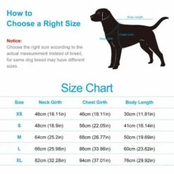 BARES Peignoir Pour Chien Avec Capuchon à Cordon Ajustable, Peignoir En Microfibre Super Absorbant, Séchage Rapide Pour Une Fourrure Sèche ( M) -Toilletage et hygiène du chien Soldes 25270782 5