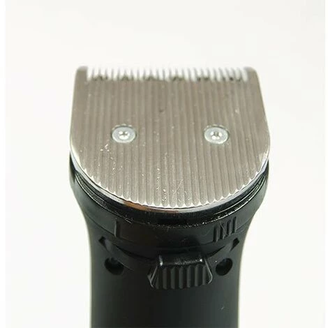 IBANEZ Heiniger Saphir Style Professional Avec Batterie Li-Ion Pour Le Toilettage Des Chiens Et Des Chats. 4 IBANEZ Heiniger Saphir Style Professional Avec Batterie Li-Ion Pour Le Toilettage Des Chiens Et Des Chats. – Image 4