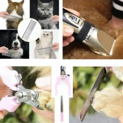 BEARSU Tondeuse Chien Chat, Coupe-Ongles Du Chien, Tondeuse Animaux, [USB Plug] Toilettage Professionnel Animal Silencieux Rechargeable Sans Fil Détachable, 4 Peignes De Direction Et 4 Outils Extra (Or) -Toilletage et hygiène du chien Soldes 25539853 4