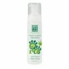 Shampooing En Mousse MENFORSAN Avec Aloe Vera 200 Ml.