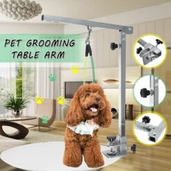 LBTN Bras De Table De Toilettage Pour Animaux De Compagnie Réglable Portatif Pliable Pour Les Aides De Beauté Pour Animaux De Compagnie, Entrainement Debout De Chien De Compétition