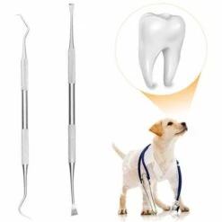 DEVENIRRICHE Outils Dentaires Professionnels, Détartreur Et Grattoir Dentaire Pour Chiens, Dissolvant De Tartre En Acier Inoxydable, Paquet De 2 Outils De Nettoyage Des Dents En Acier Inoxydable Pour Chiens, Chats