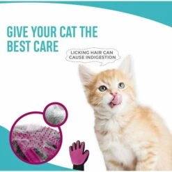 LangRay NA Gant De Toilettage Pour Animal Domestique - épilateur De Poils De Chat Et De Chien - Outil De Démoulage - Conseils En Silicone Doux Pour Massage - Brosse Et Lavage - Long/Court (violet, Droite) -Toilletage et hygiène du chien Soldes 27588039 3