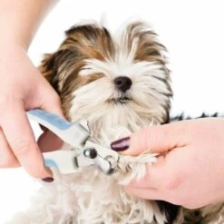 Kueatily Coupe-Ongles Pour Animaux De Compagnie Ciseaux à Griffes D'Animaux Coupe Griffes Pour Animaux De Compagnie Coupe-Ongles De Chien Coupe-Griffe N Acier Inoxydable Pour Chiens Chats (Blanc Et Bleu) -Toilletage et hygiène du chien Soldes 27866367 4