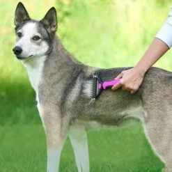 BRIDAY Brosse Chien Brosse Chat, Peigne Déméloir Chien Poils Longs Courts, Dents Doubles Râteau De Toilettage Pour Chien Et Chat -Toilletage et hygiène du chien Soldes 28592597 3