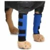 Betterlife Genouillères Pour Animaux De Compagnie Avec Bandes De Soutien Protège-jambes Pour Chiens Jambes De Chien Protecteur Pour Animaux De Compagnie Couverture De Blessure Pour Chirurgie De Chien (Bleu S)