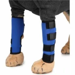 Betterlife Genouillères Pour Animaux De Compagnie Avec Bandes De Soutien Protège-jambes Pour Chiens Jambes De Chien Protecteur Pour Animaux De Compagnie Couverture De Blessure Pour Chirurgie De Chien (Bleu S) -Toilletage et hygiène du chien Soldes 30083498 3