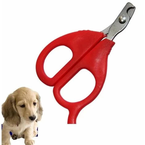 ILoveMilan Fournitures Pour Animaux De Compagnie Coupe-ongles Pour Chien Coupe-ongles Pour Chat Manucure Animale Ciseaux De Toilettage Nail Art (Rouge 10.1 * 6.1cm) 4 ILoveMilan Fournitures Pour Animaux De Compagnie Coupe-ongles Pour Chien Coupe-ongles Pour Chat Manucure Animale Ciseaux De Toilettage Nail Art (Rouge 10.1 * 6.1cm) – Image 4