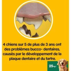 Pedigree Dentastix Fresh - Friandises Pour Grand Chien, 112 Bâtonnets à Mâcher Pour L'hygiène Bucco-Dentaire (16 Sachets De 7 Sticks) -Toilletage et hygiène du chien Soldes 31664966 4