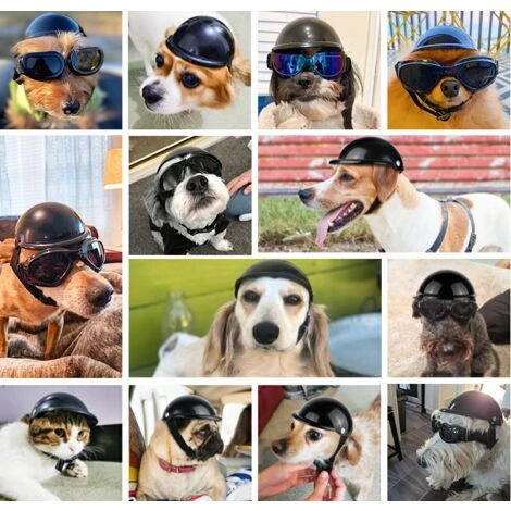 ILOVEMILAN Casque Pour Animaux Compagnie, Casquette De Sécurité Pour Chien, Casquette Casque Vélo Pour Chats, Universel Plastique Ajustable Casque Moto Pour Chien Pour Petits Chiens, Chats (Noir, M) 5 ILOVEMILAN Casque Pour Animaux Compagnie, Casquette De Sécurité Pour Chien, Casquette Casque Vélo Pour Chats, Universel Plastique Ajustable Casque Moto Pour Chien Pour Petits Chiens, Chats (Noir, M) – Image 5