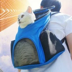 DEVENIRRICHE Sac à Dos Pour Chien Kurgo G-Train, Sac à Dos Pour Chiens Jusqu'à 11 Kg, Sac De Transport Pour Chien, Sac à Dos Pour Chien Et Chat, Sac De Chien Certifié TSA Pour Avion, Avec Compartiment Pour Ordinateur Portable, Base étanche -Toilletage et hygiène du chien Soldes 33632948 3