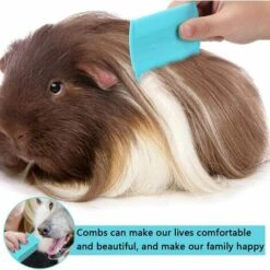 BETTERLIFE 10 Pcs Peigne à Poux Peignes D'Élimination Des Poux,Peignes De Toilettage Pour Animaux De Compagnie Peigne De Poux De Chien Peignes Nit De Tête Pour Toilettage Et Élimination Des Flocons -Toilletage et hygiène du chien Soldes 33907267 3