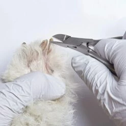 BETTERLIFE Pince Griffe Pour Chien Avec Fil à Ressort En Acier Inoxydable 12 Cm -Toilletage et hygiène du chien Soldes 33929724 4