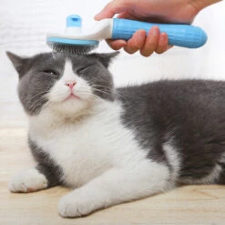 DONTODENT Brosse De Toilettage Autonettoyante Pour Chiens Et Chats – Facile à Enlever Sous-couche Lâche, Outil De Massage Pour Animaux De Compagnie Adapté Aux Animaux De Compagnie à Poils Longs Ou Courts 6 DONTODENT Brosse De Toilettage Autonettoyante Pour Chiens Et Chats – Facile à Enlever Sous-couche Lâche, Outil De Massage Pour Animaux De Compagnie Adapté Aux Animaux De Compagnie à Poils Longs Ou Courts -Toilletage et hygiène du chien Soldes 34609679 3