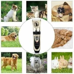 DONTODENT Tondeuse Pour Chien Tondeuse Pour Animaux De Compagnie à Faible Bruit Tondeuse Pour Chien Rechargeable Sans Fil Outil De Toilettage Pour Animaux De Compagnie Tondeuse à Poils De Chien Professionnelle Avec Co.ukb Guide Ciseaux Kits D'ongles Pour Chats Et A