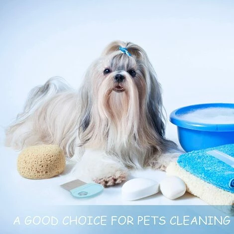 BEARSU Peigne à Cheveux Pour Enlever Les Lentes De 6 Pièces Avec Loupe, Outil De Dents En Métal Fin Pour Chiens, Chats, Toilettage Et élimination Des Flocons De Pellicules/œufs De Poux (bleu Ciel) 5 BEARSU Peigne à Cheveux Pour Enlever Les Lentes De 6 Pièces Avec Loupe, Outil De Dents En Métal Fin Pour Chiens, Chats, Toilettage Et élimination Des Flocons De Pellicules/œufs De Poux (bleu Ciel) – Image 5