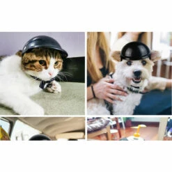 THSINDE Casque De Chien Cool Bonnet Réglable Pour Chiot, Chat Noir M -Toilletage et hygiène du chien Soldes 36055529 5