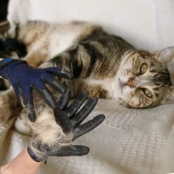 ILOVEMILAN Paire De Gants De Toilettage Par-pour Chats, Chiens Et Chevaux à Fourrure Longue Ou Courte (Noir-1) -Toilletage et hygiène du chien Soldes 36719624 3