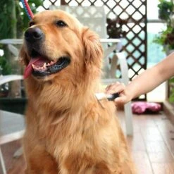 LangRay Peigne De Chien, Peigne Pour Animaux De Compagnie Double Peigne Latéral Outil De Toilettage Professionnel Pour Brosser Deshedding Anti Poux Peigne Aux Puces De Chien -Toilletage et hygiène du chien Soldes 36721535 4