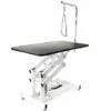 WILTEC Table De Toilettage Hydraulique Pliable Table De Soins Pour Chiens Et Chats