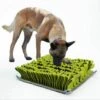 BRIDAY Tapis De Fouille Pour Chien, Dog Snuffle Mat, Tapis De Formation De Jouet De Puzzle Pour Animaux De Compagnie