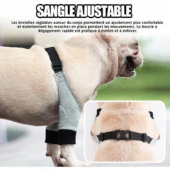 ASUPERMALL Protecteur De Coude De Chien Manchon De Jambe Avant Réglable Opération Pour Animaux De Compagnie Récupération De Blessure Orthèse De Protection 1 Paire, Gris S - Gris S -Toilletage et hygiène du chien Soldes 45635777 3