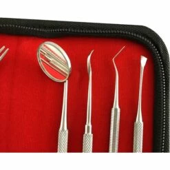 GDRHVFD Lot De 8 Détartreur Set De Soins Dentaires, Set Dentaire Instrument Dentaire / Dentiste Nettoyage Des Dents Sonde Dentaire, Set De Nettoyage Des Dents Soins Dentaires Tartare Acier Inoxydable Avec Sac De Transport -Toilletage et hygiène du chien Soldes 45733372 3