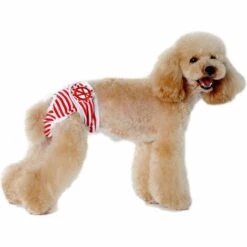 Couches Pour Chien 2 Pièces Pantalon De Protection Lavable Pantalon Chauffant Pour Chiennes Pantalon Ajustable Pour Chien, S,HANBING -Toilletage et hygiène du chien Soldes 47163133 5
